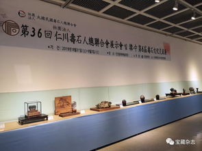 以石為媒，跨越山海 青島民間賞石藝術(shù)開(kāi)啟跨國(guó)交流新篇章